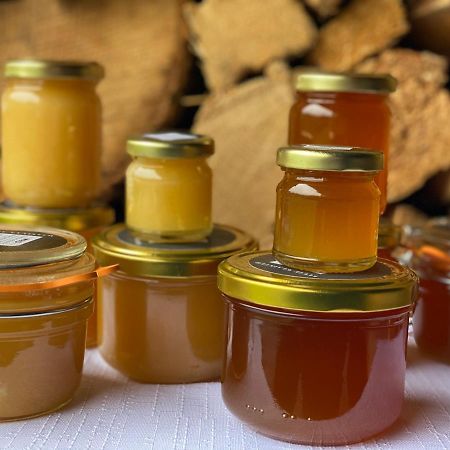 Lyzarska Bouda Domovina Ξενοδοχείο Špindlerŭv Mlýn Εξωτερικό φωτογραφία
